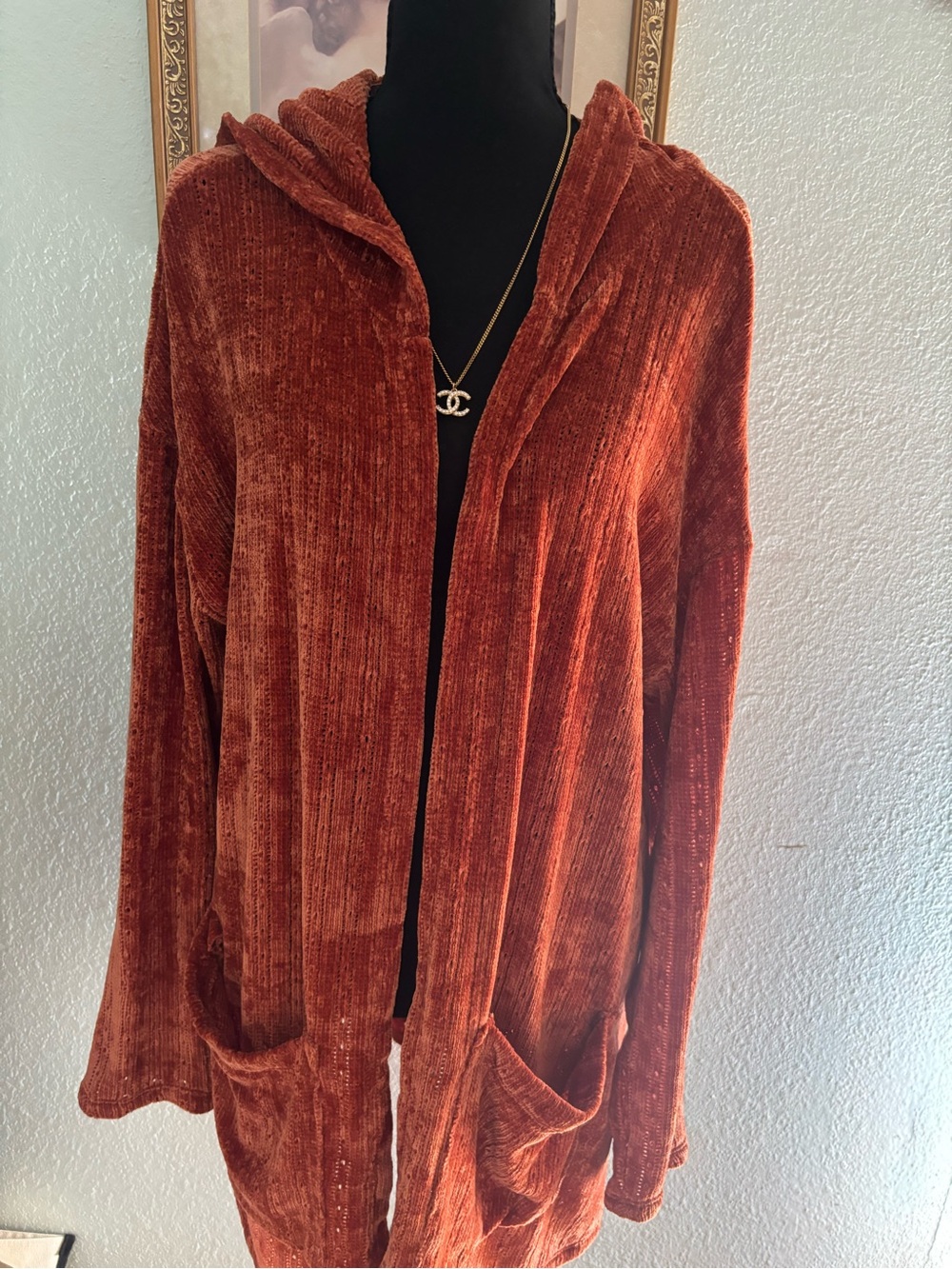Daytrip Rust Chenille Hooded Cardigan Jacket